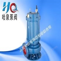 WQ潛水排污泵型號(hào)丨價(jià)格丨廠家