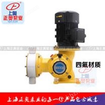 DJ-Z型電動隔膜式計量泵