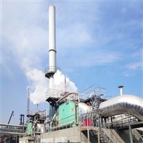 燃?xì)廨啓C(jī)HRSG余熱鍋爐SCR脫銷系統(tǒng)