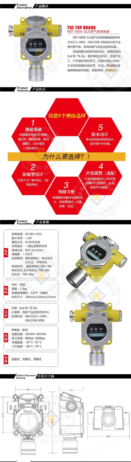 RBT-6000-ZLG液化氣探測器